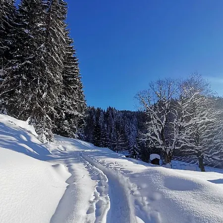 Holiday home Bergfrieden Auf 1.170 M Laterns